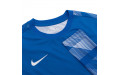 Кофта Nike Dry Park IV Goalkeeper Jersey Long Sleeve